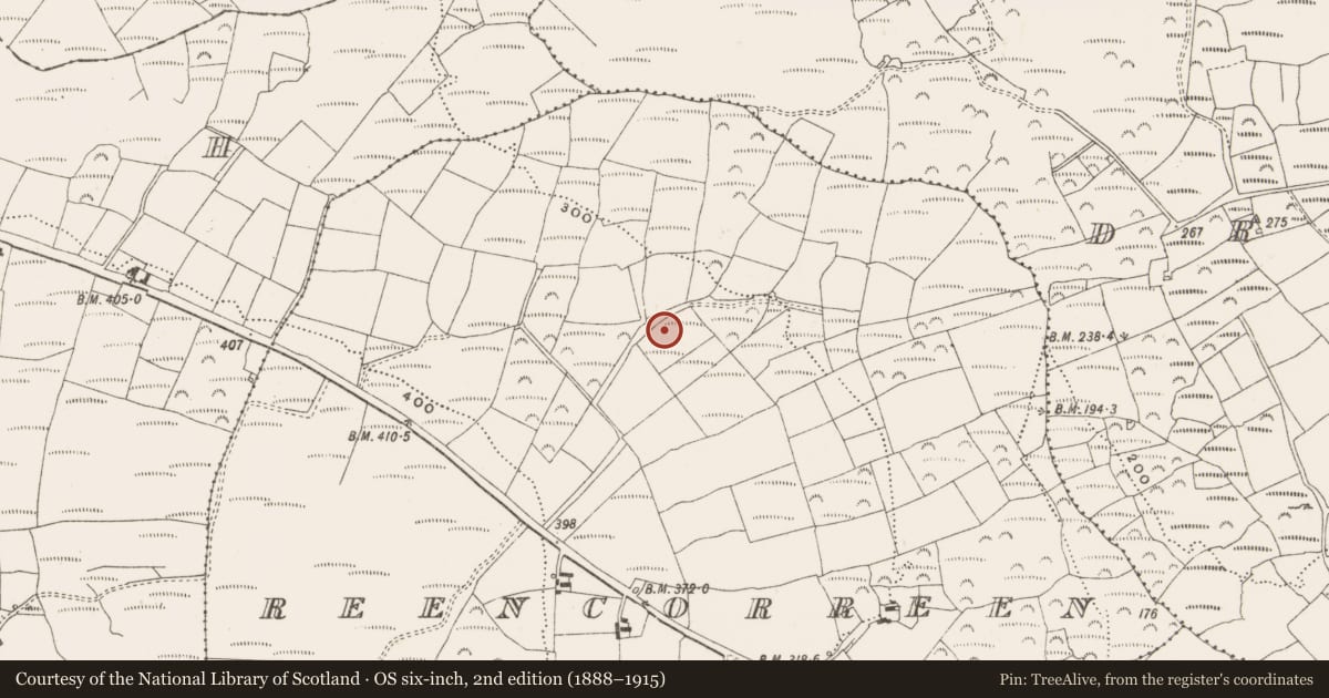 Ordnance Survey six-inch map, 2nd edition (1888–1915) covering the location of Fulacht fia, Reencorreen, County Cork, with a pin at the register's coordinates