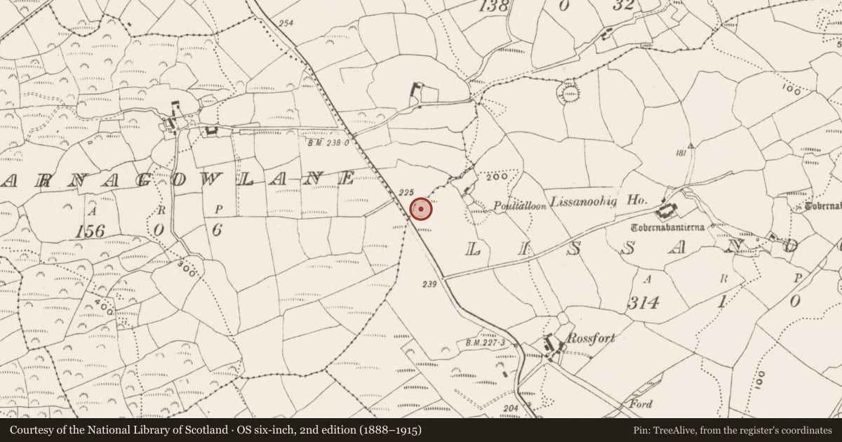 Ordnance Survey six-inch map, 2nd edition (1888–1915) covering the location of Fulacht fia, Lissanoohig, County Cork, with a pin at the register's coordinates