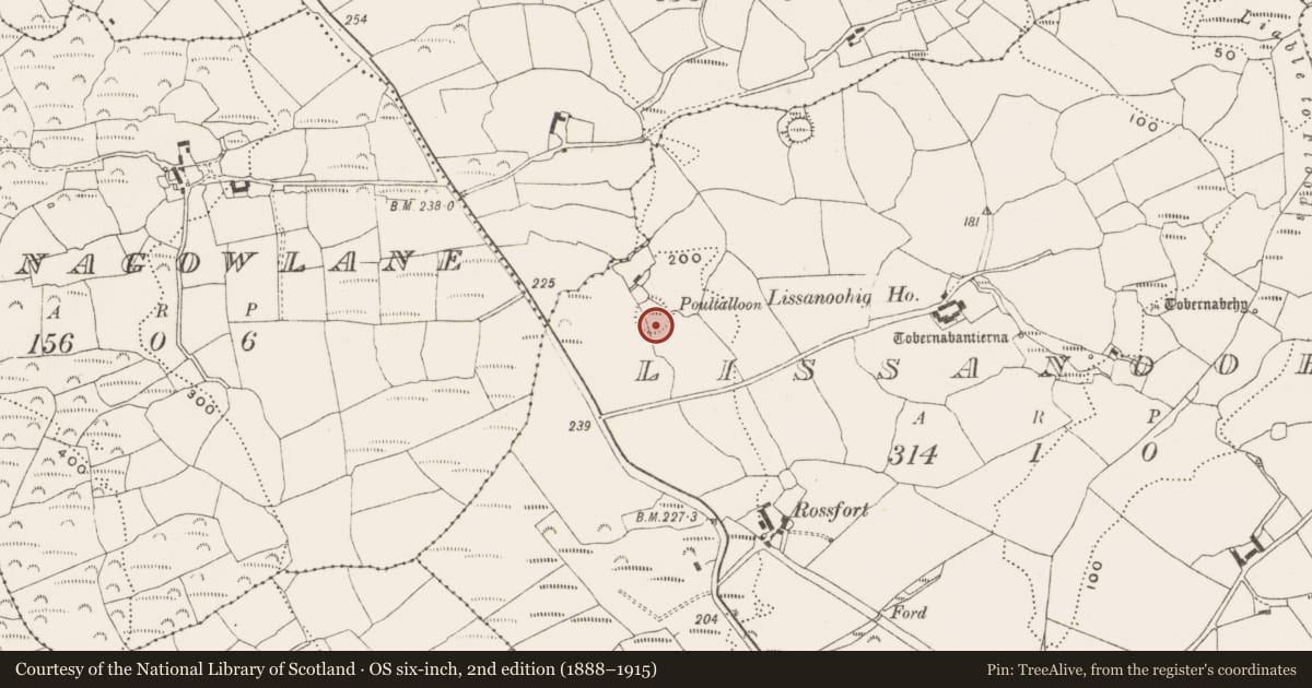 Ordnance Survey six-inch map, 2nd edition (1888–1915) covering the location of Ringfort - rath, Lissanoohig, County Cork, with a pin at the register's coordinates