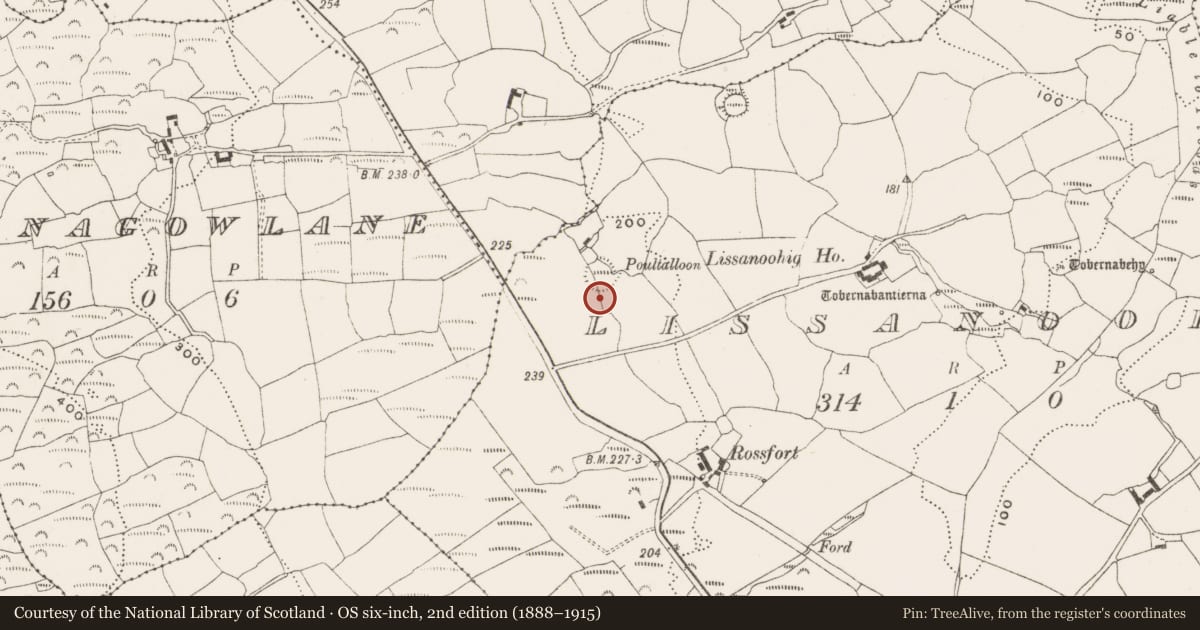 Ordnance Survey six-inch map, 2nd edition (1888–1915) covering the location of Souterrain, Lissanoohig, County Cork, with a pin at the register's coordinates
