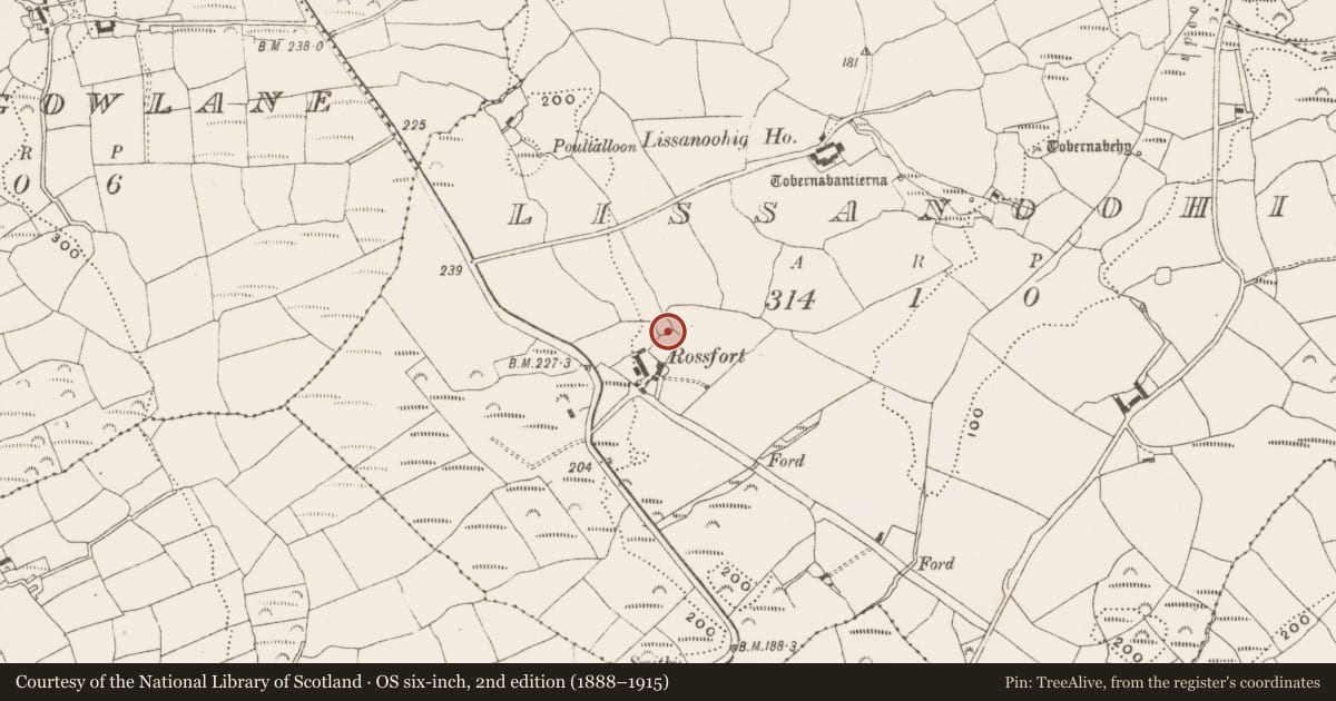 Ordnance Survey six-inch map, 2nd edition (1888–1915) covering the location of Ringfort - rath, Lissanoohig, County Cork, with a pin at the register's coordinates