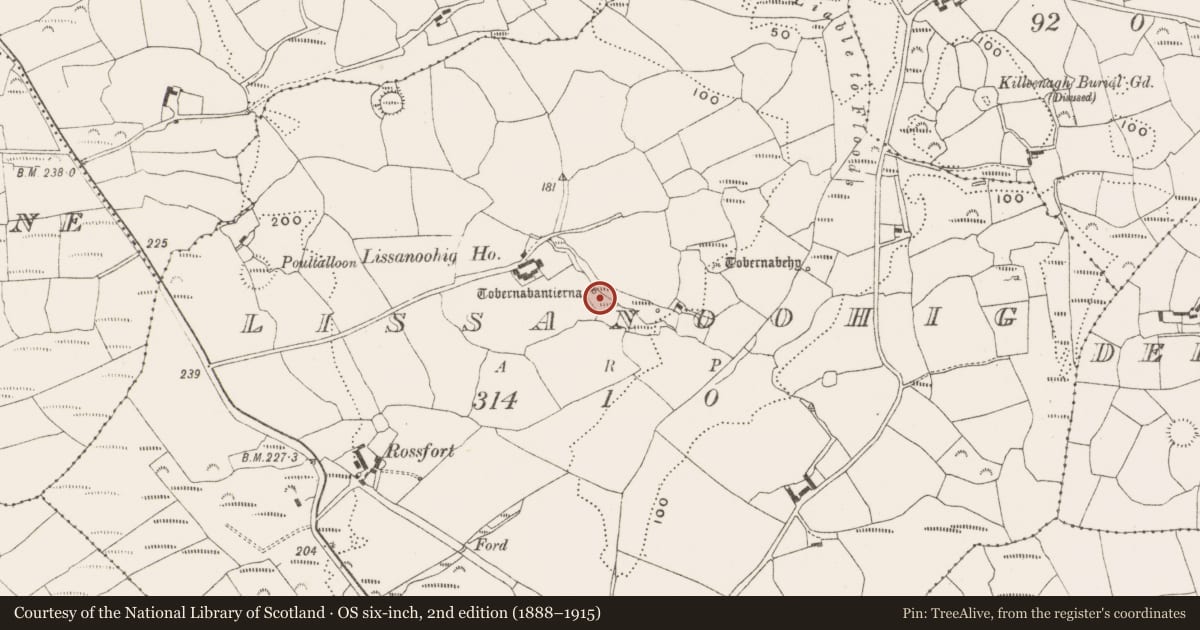 Ordnance Survey six-inch map, 2nd edition (1888–1915) covering the location of Ritual site - holy well, Lissanoohig, County Cork, with a pin at the register's coordinates