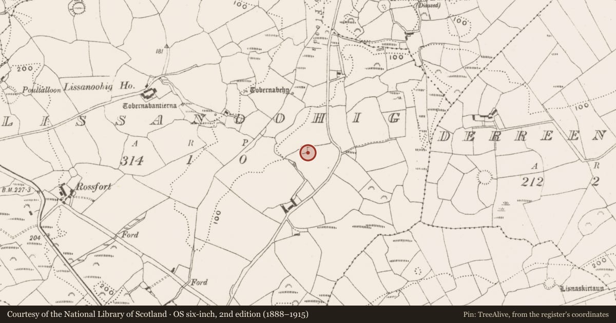 Ordnance Survey six-inch map, 2nd edition (1888–1915) covering the location of Ringfort - rath, Lissanoohig, County Cork, with a pin at the register's coordinates