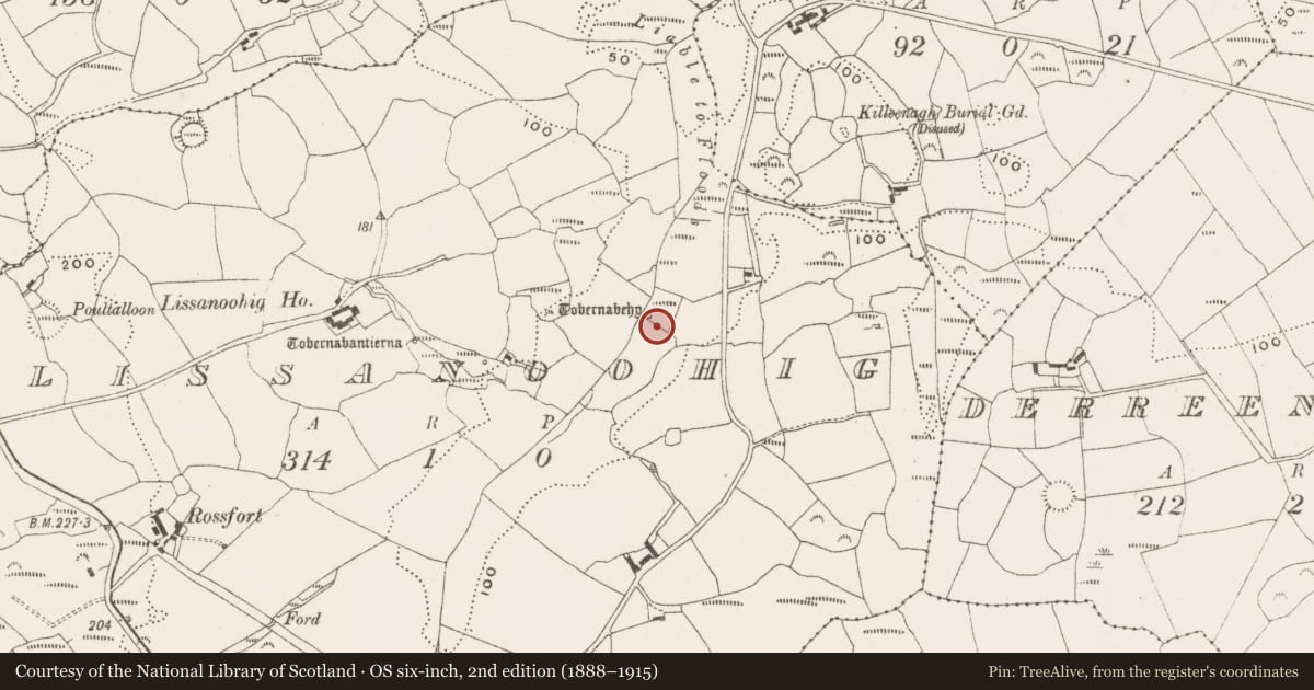 Ordnance Survey six-inch map, 2nd edition (1888–1915) covering the location of Ritual site - holy well, Lissanoohig, County Cork, with a pin at the register's coordinates