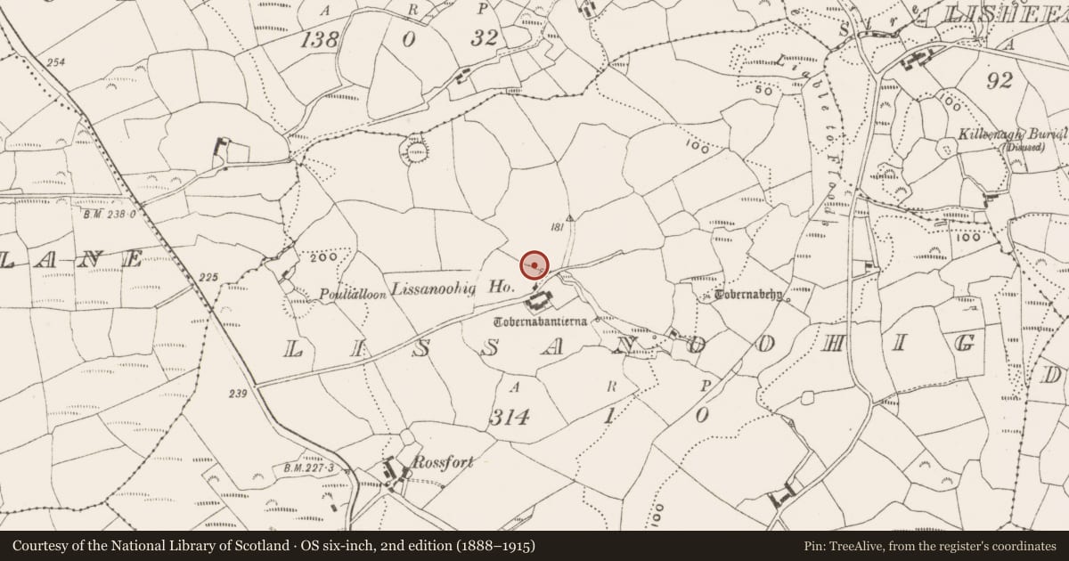 Ordnance Survey six-inch map, 2nd edition (1888–1915) covering the location of Fulacht fia, Lissanoohig, County Cork, with a pin at the register's coordinates