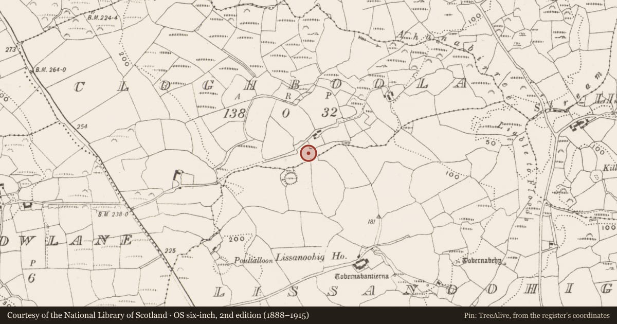 Ordnance Survey six-inch map, 2nd edition (1888–1915) covering the location of Standing stone, Cloghboola, County Cork, with a pin at the register's coordinates