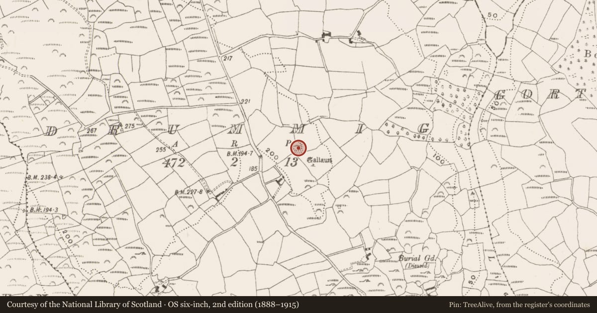 Ordnance Survey six-inch map, 2nd edition (1888–1915) covering the location of Ringfort - rath, Drummig, County Cork, with a pin at the register's coordinates