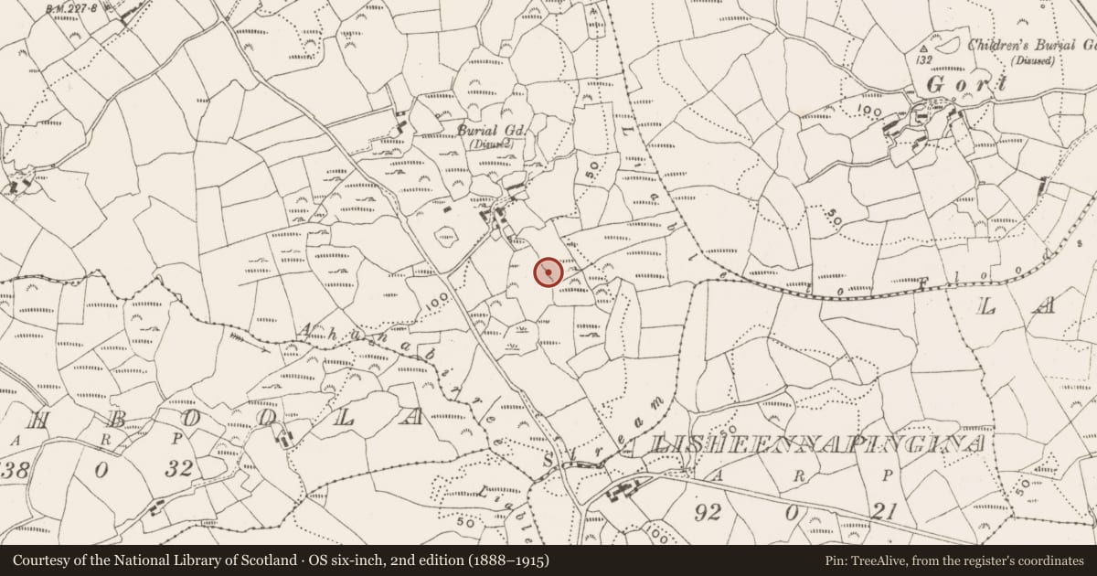 Ordnance Survey six-inch map, 2nd edition (1888–1915) covering the location of Burial ground, Drummig, County Cork, with a pin at the register's coordinates