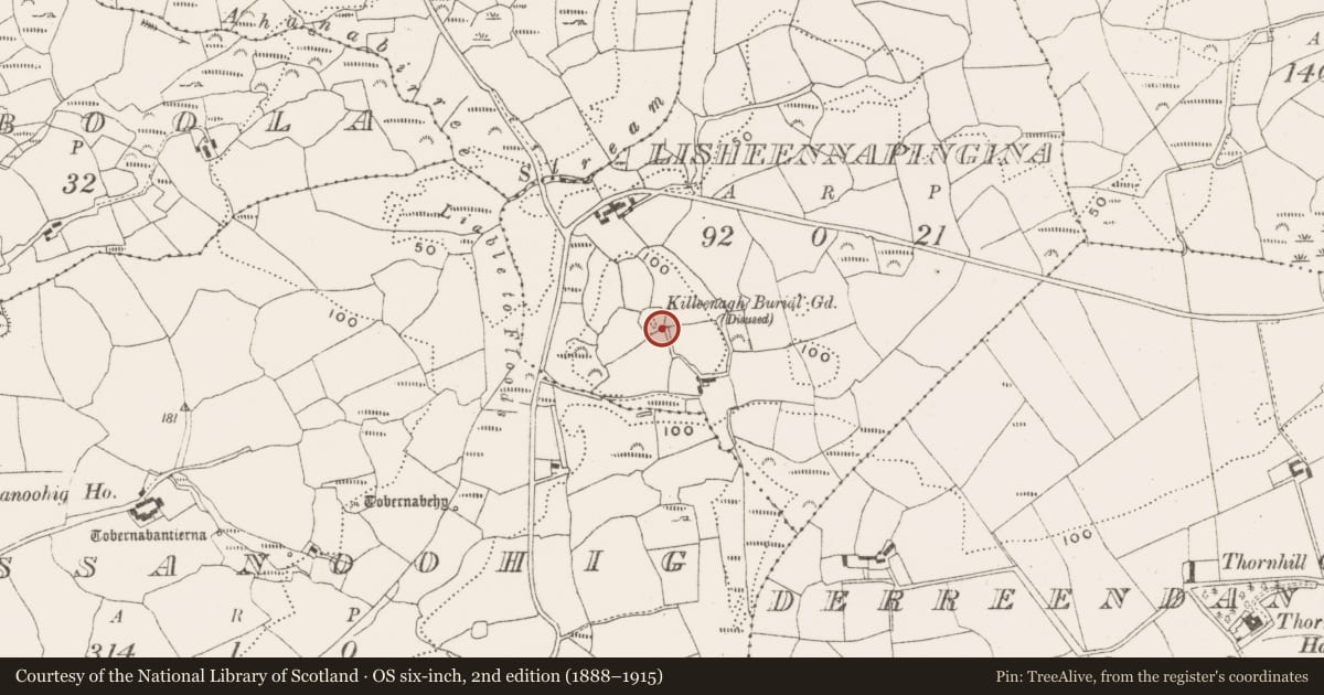 Ordnance Survey six-inch map, 2nd edition (1888–1915) covering the location of Ecclesiastical enclosure, Lisheennapingina, County Cork, with a pin at the register's coordinates