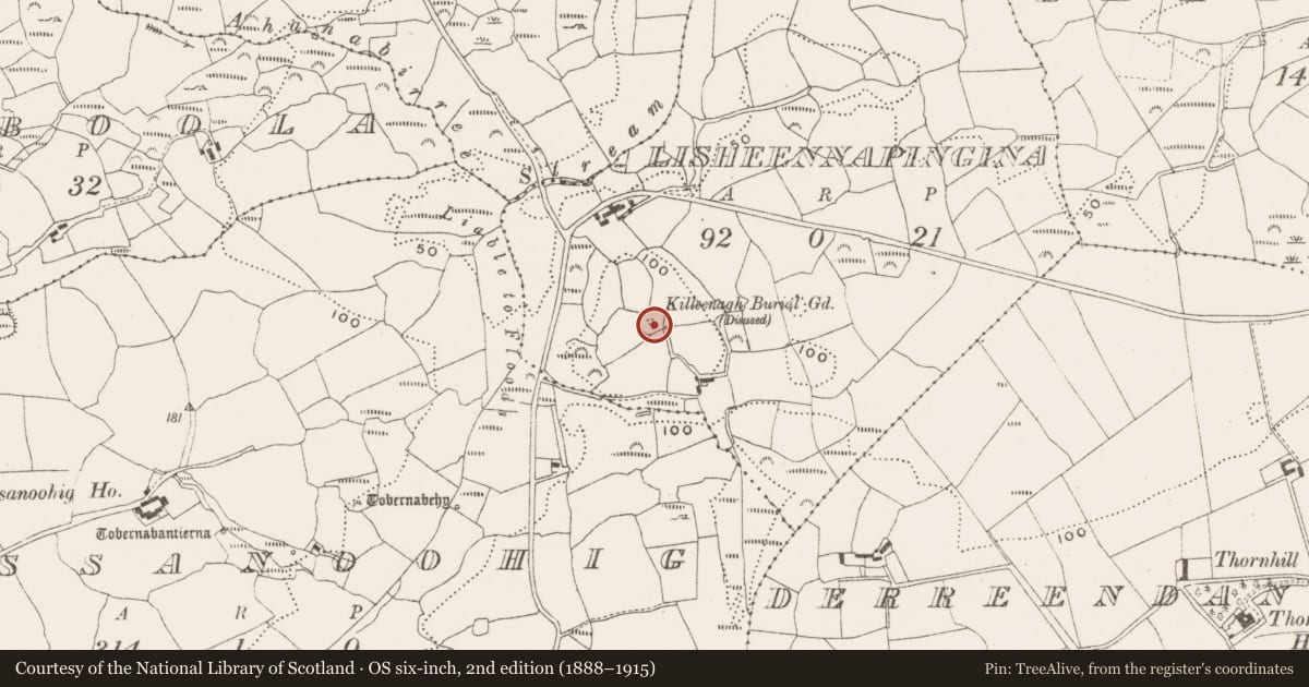 Ordnance Survey six-inch map, 2nd edition (1888–1915) covering the location of Church, Lisheennapingina, County Cork, with a pin at the register's coordinates
