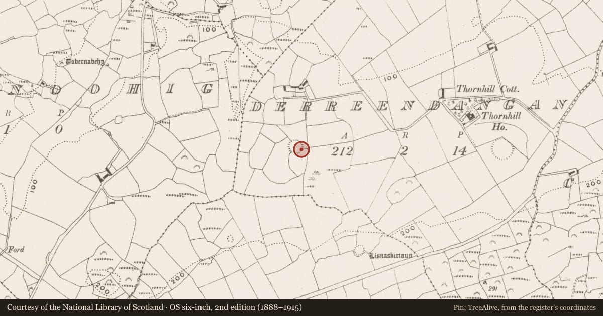 Ordnance Survey six-inch map, 2nd edition (1888–1915) covering the location of Ringfort - rath, Derreendangan, County Cork, with a pin at the register's coordinates
