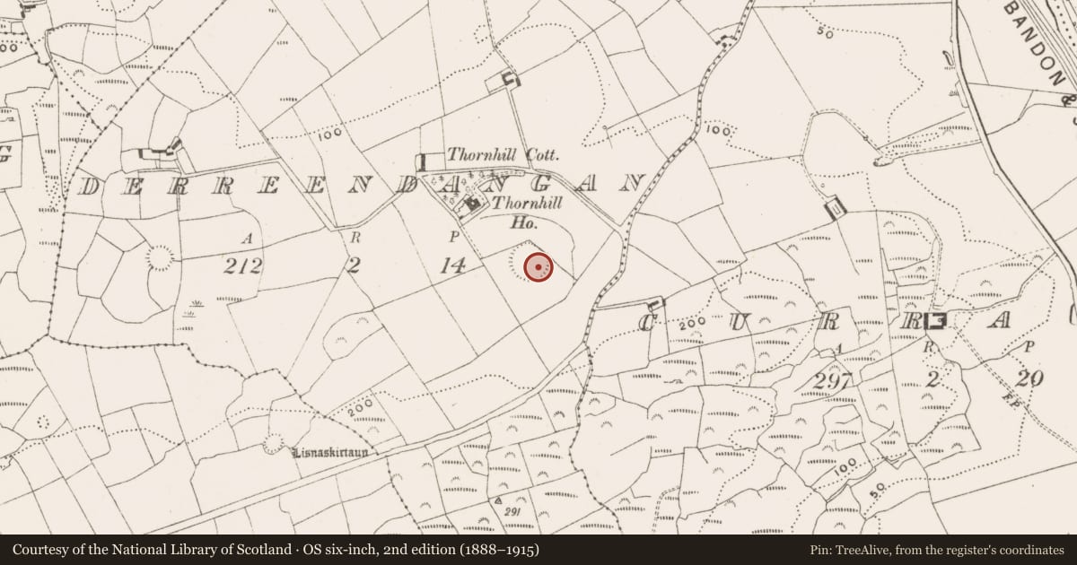 Ordnance Survey six-inch map, 2nd edition (1888–1915) covering the location of Souterrain, Derreendangan, County Cork, with a pin at the register's coordinates