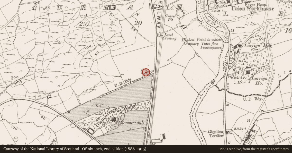 Ordnance Survey six-inch map, 2nd edition (1888–1915) covering the location of Quarry, Curragh, County Cork, with a pin at the register's coordinates