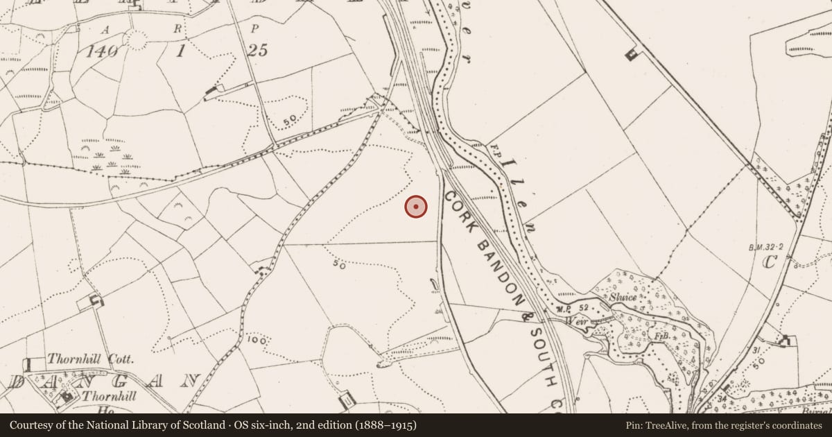 Ordnance Survey six-inch map, 2nd edition (1888–1915) covering the location of Ringfort - rath, Curragh, County Cork, with a pin at the register's coordinates