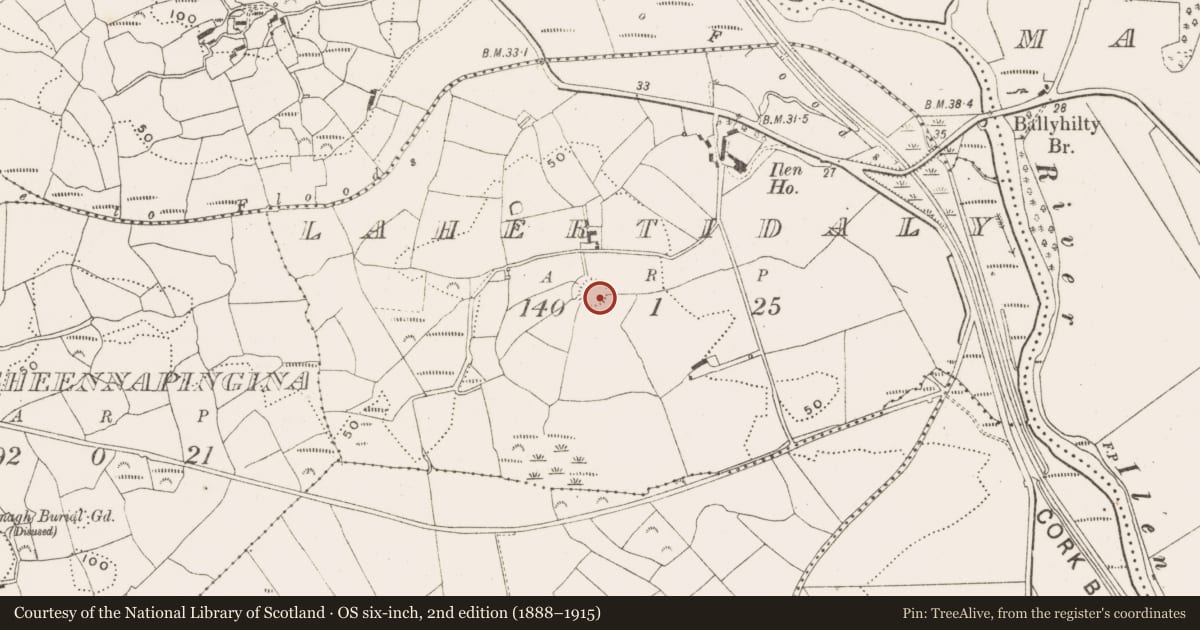 Ordnance Survey six-inch map, 2nd edition (1888–1915) covering the location of Ringfort - rath, Lahertidaly, County Cork, with a pin at the register's coordinates