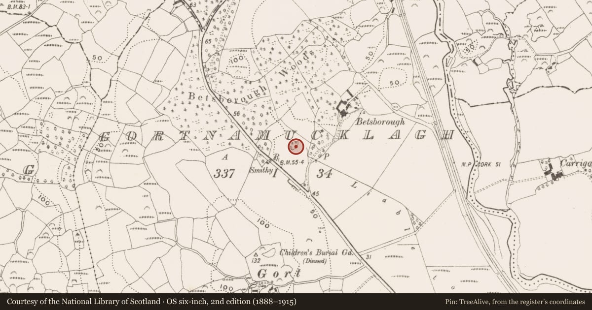 Ordnance Survey six-inch map, 2nd edition (1888–1915) covering the location of Designed landscape - ornamental lake, Gortnamucklagh, County Cork, with a pin at the register's coordinates