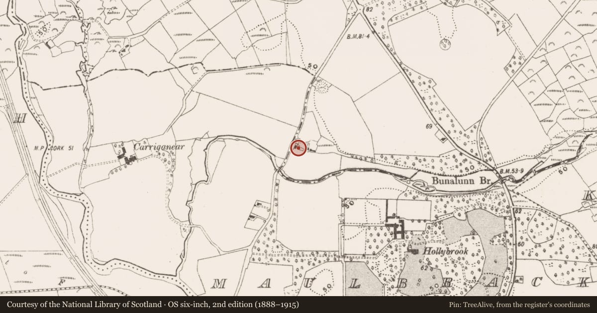 Ordnance Survey six-inch map, 2nd edition (1888–1915) covering the location of Mill - unclassified, Bunalunn, County Cork, with a pin at the register's coordinates