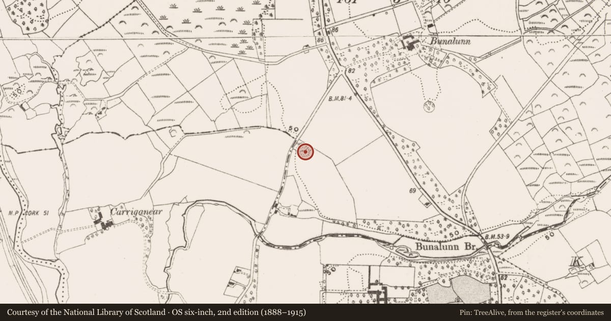 Ordnance Survey six-inch map, 2nd edition (1888–1915) covering the location of Ringfort - rath, Bunalunn, County Cork, with a pin at the register's coordinates
