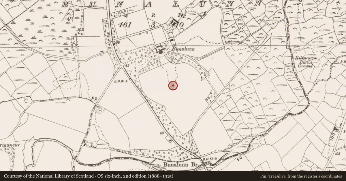 Ordnance Survey six-inch map, 2nd edition (1888–1915) covering the location of Designed landscape - tree-ring, Bunalunn, County Cork, with a pin at the register's coordinates