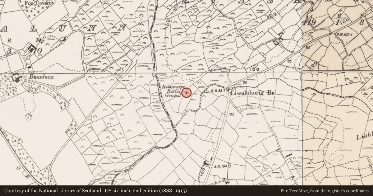 Ordnance Survey six-inch map, 2nd edition (1888–1915) covering the location of Burial ground, Lissalohorig, County Cork, with a pin at the register's coordinates