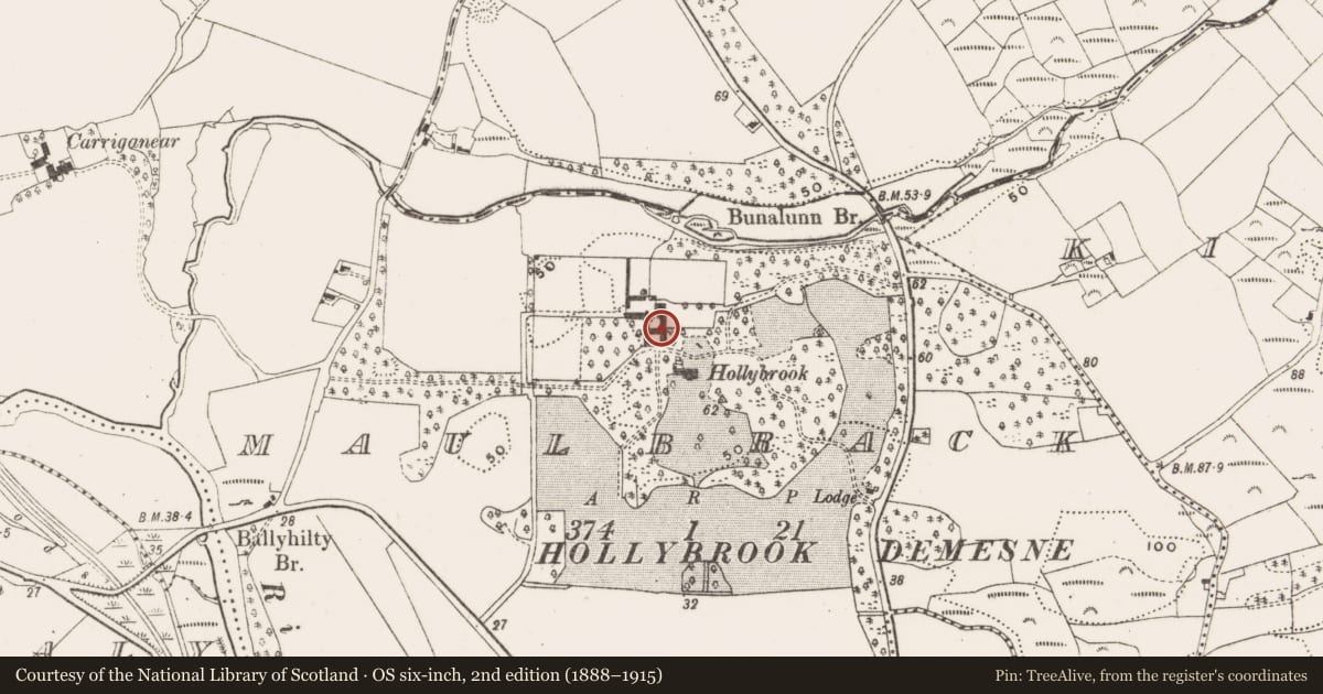Ordnance Survey six-inch map, 2nd edition (1888–1915) covering the location of Mill - sawmill, Maulbrack, County Cork, with a pin at the register's coordinates