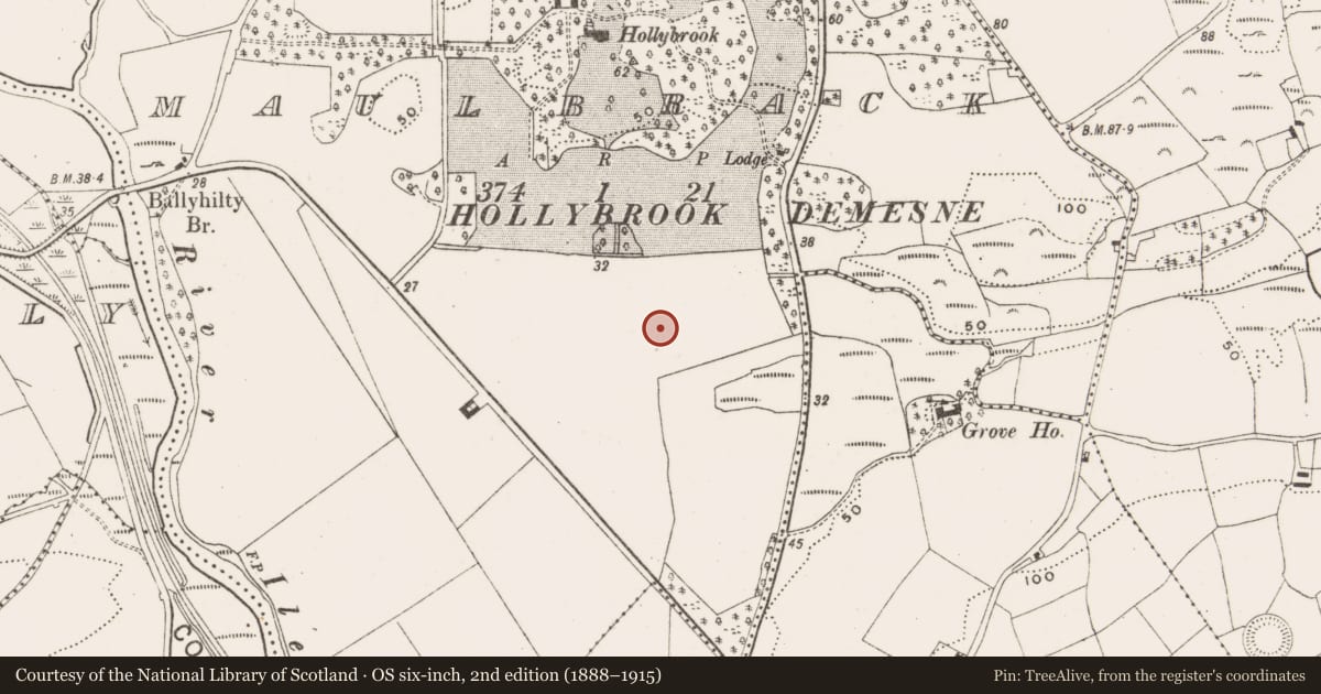 Ordnance Survey six-inch map, 2nd edition (1888–1915) covering the location of Designed landscape - tree-ring, Maulbrack, County Cork, with a pin at the register's coordinates