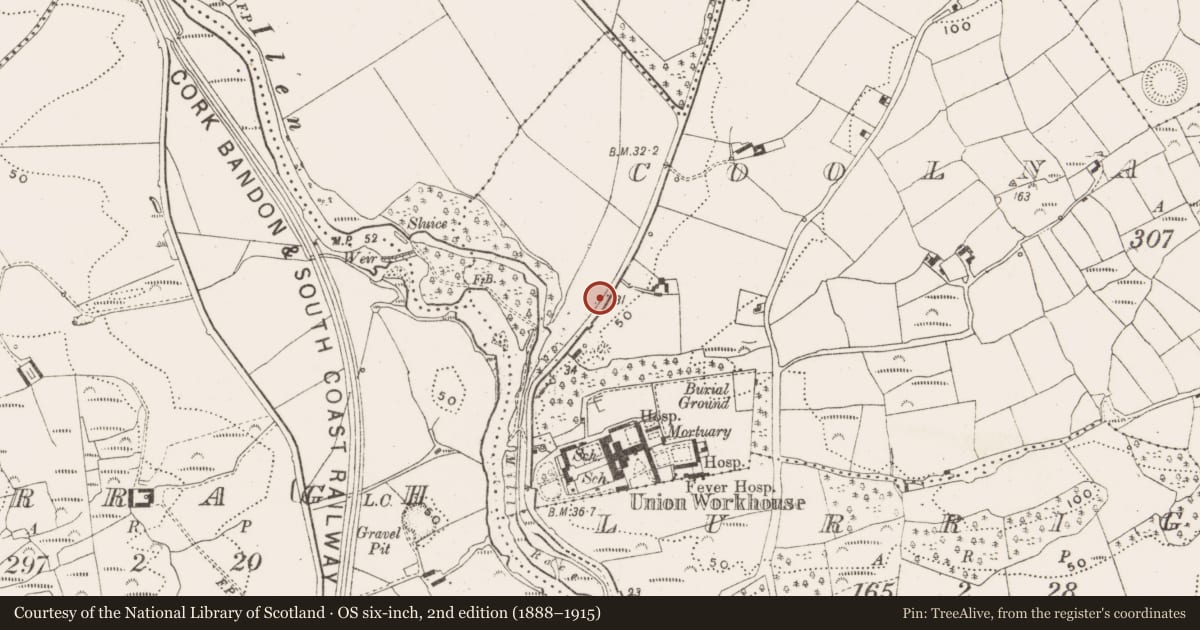 Ordnance Survey six-inch map, 2nd edition (1888–1915) covering the location of Standing stone, Coolnagarrane, County Cork, with a pin at the register's coordinates