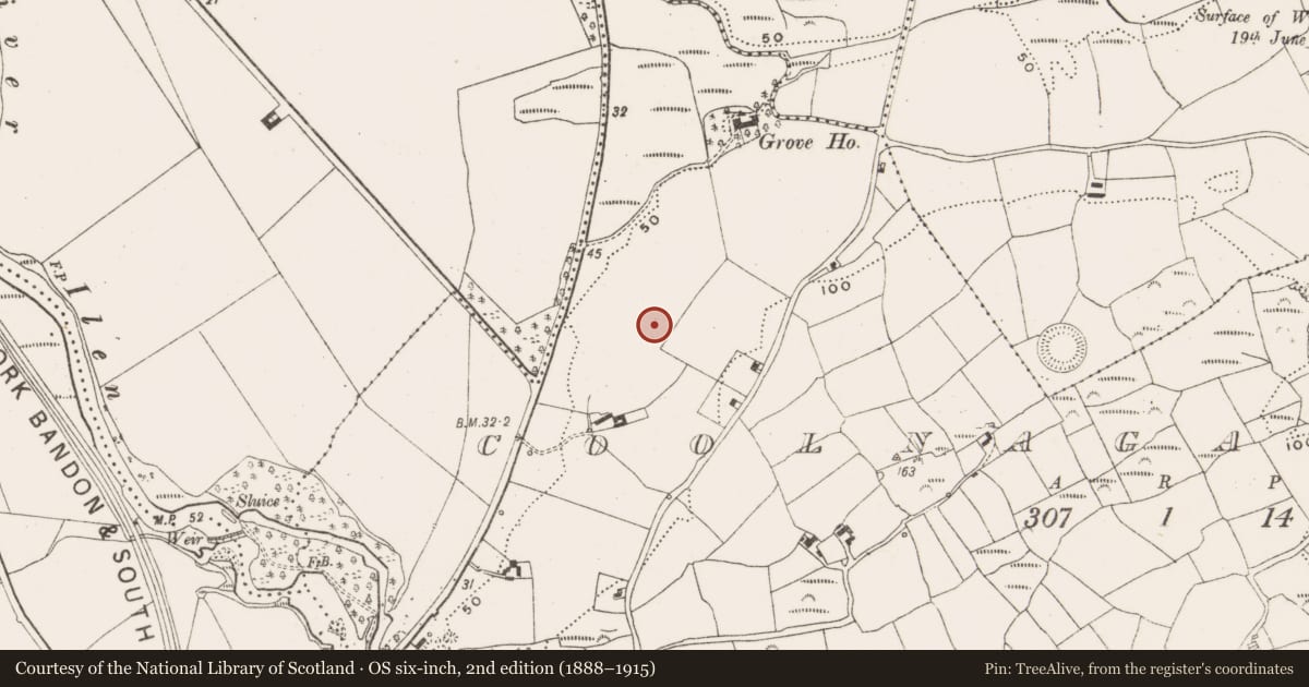 Ordnance Survey six-inch map, 2nd edition (1888–1915) covering the location of Standing stone, Coolnagarrane, County Cork, with a pin at the register's coordinates