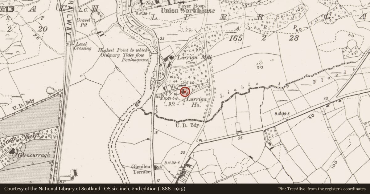 Ordnance Survey six-inch map, 2nd edition (1888–1915) covering the location of Country house, Lurriga, County Cork, with a pin at the register's coordinates