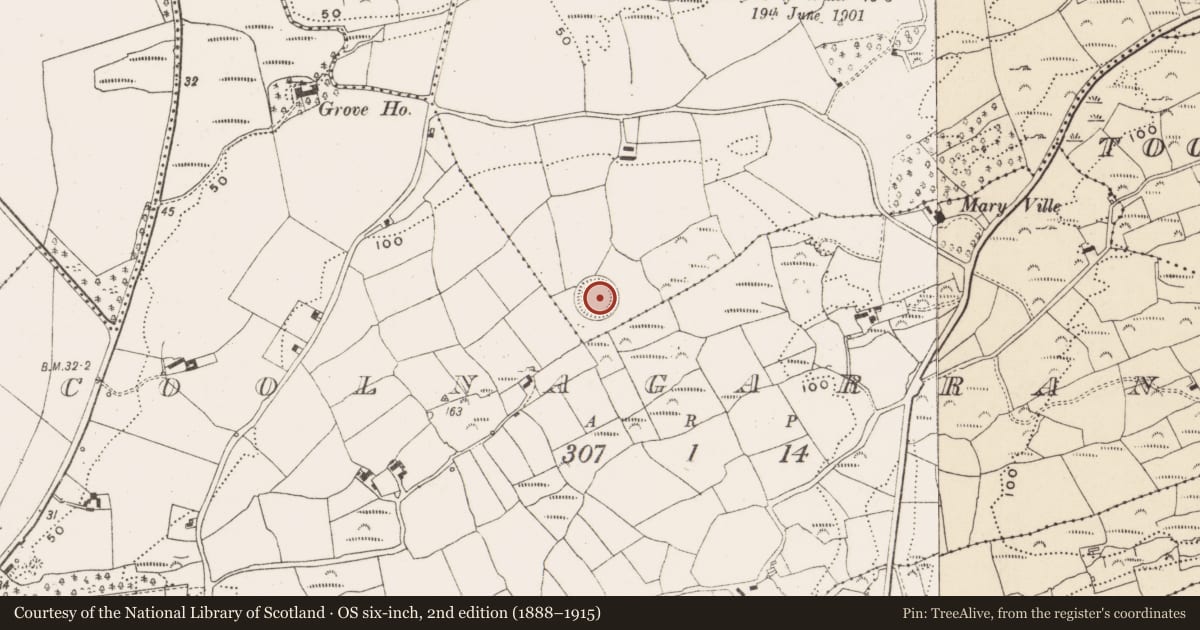 Ordnance Survey six-inch map, 2nd edition (1888–1915) covering the location of Ringfort - rath, Kilnaclasha, County Cork, with a pin at the register's coordinates