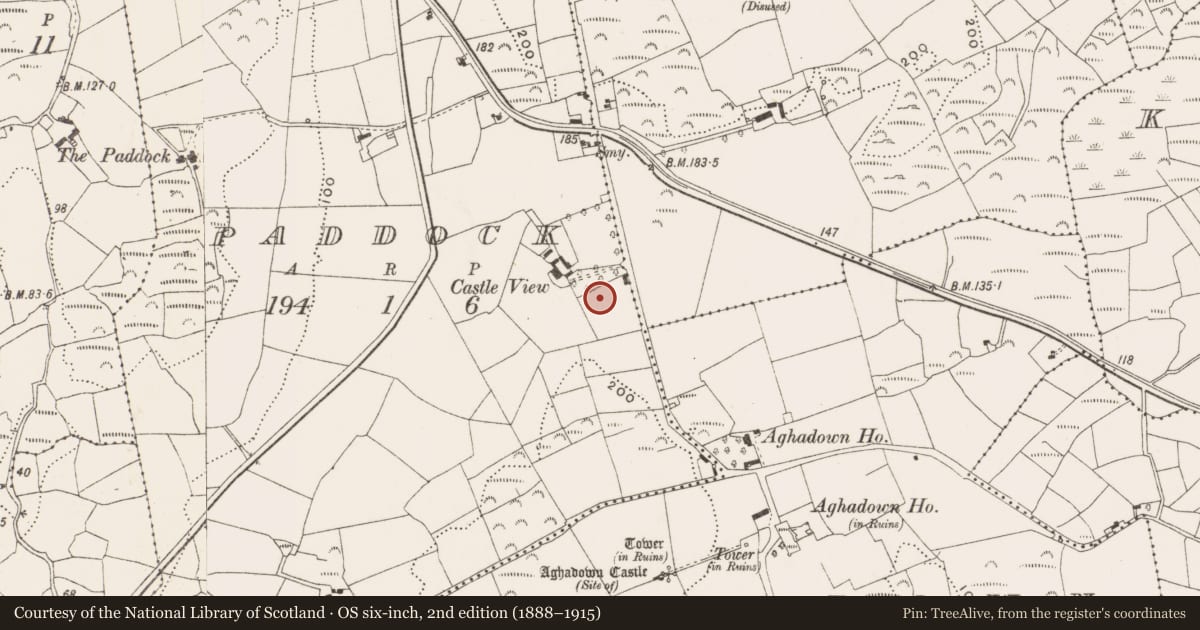 Ordnance Survey six-inch map, 2nd edition (1888–1915) covering the location of Souterrain, Paddock, County Cork, with a pin at the register's coordinates