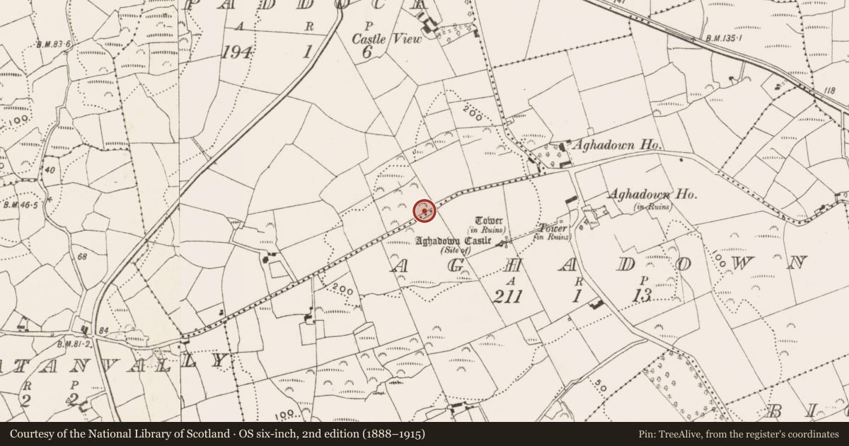 Ordnance Survey six-inch map, 2nd edition (1888–1915) covering the location of Souterrain, Paddock, County Cork, with a pin at the register's coordinates