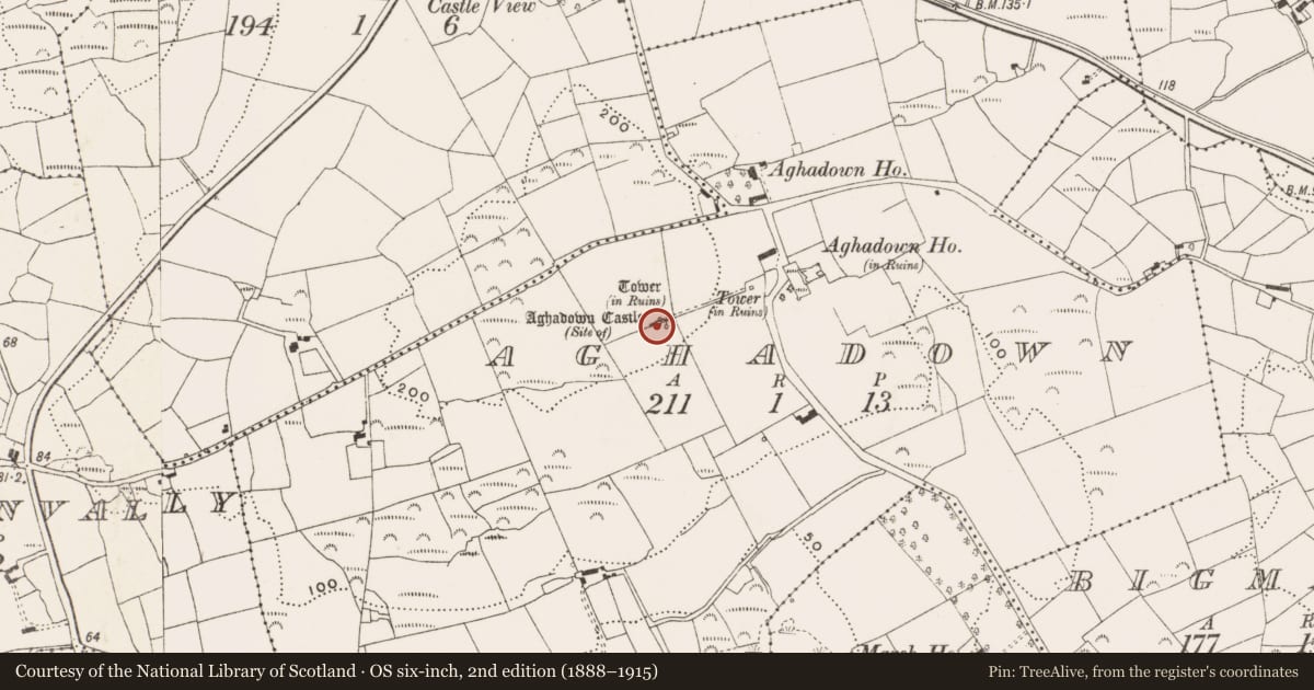 Ordnance Survey six-inch map, 2nd edition (1888–1915) covering the location of Designed landscape - belvedere, Aghadown, County Cork, with a pin at the register's coordinates