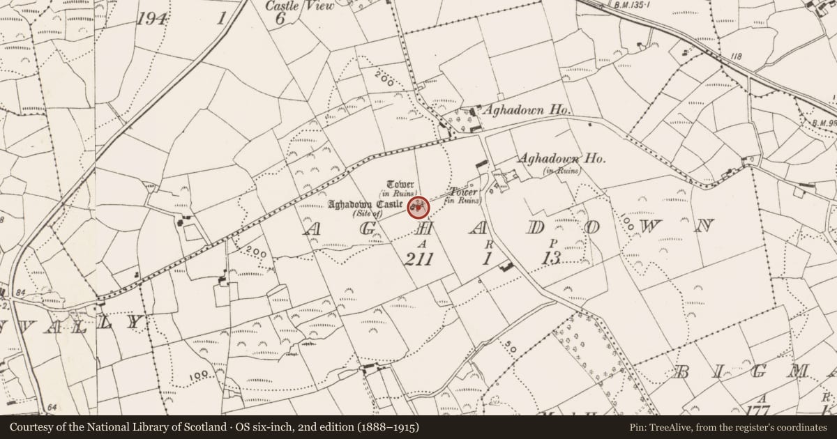 Ordnance Survey six-inch map, 2nd edition (1888–1915) covering the location of Castle - unclassified, Aghadown, County Cork, with a pin at the register's coordinates