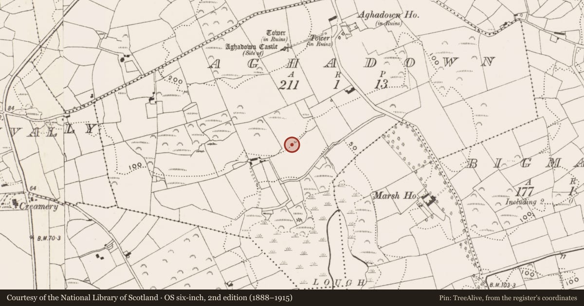 Ordnance Survey six-inch map, 2nd edition (1888–1915) covering the location of Souterrain, Aghadown, County Cork, with a pin at the register's coordinates