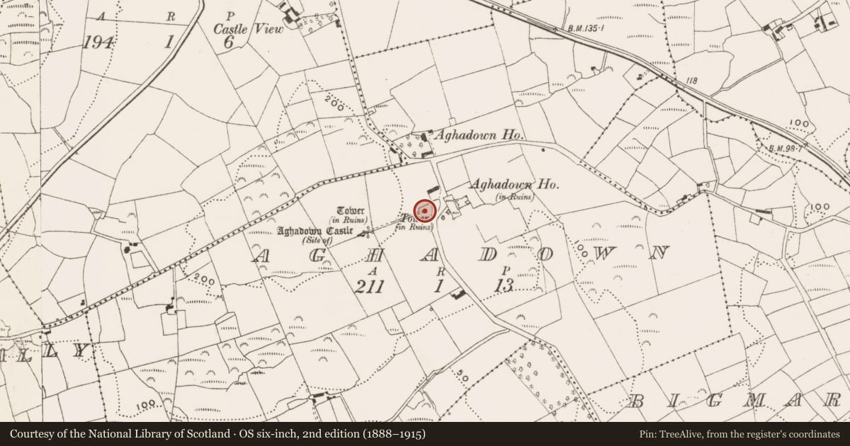 Ordnance Survey six-inch map, 2nd edition (1888–1915) covering the location of Designed landscape - belvedere, Aghadown, County Cork, with a pin at the register's coordinates