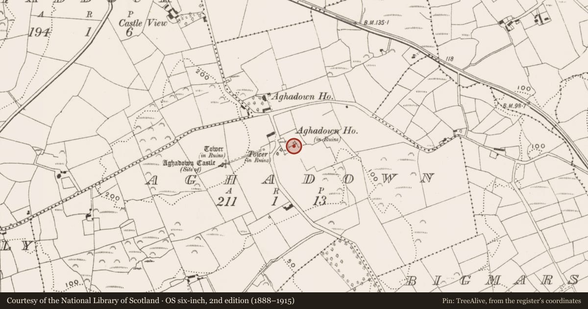 Ordnance Survey six-inch map, 2nd edition (1888–1915) covering the location of House - fortified house, Aghadown, County Cork, with a pin at the register's coordinates
