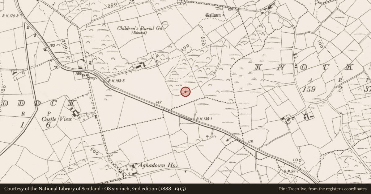 Ordnance Survey six-inch map, 2nd edition (1888–1915) covering the location of Fulacht fia, Hollyhill, County Cork, with a pin at the register's coordinates