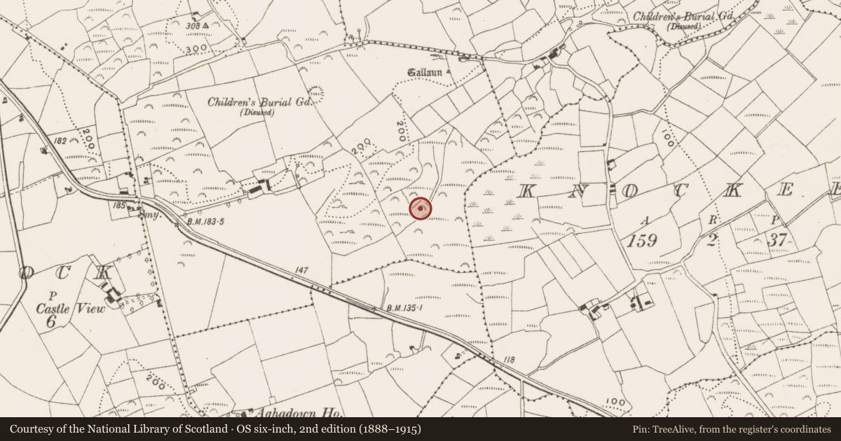 Ordnance Survey six-inch map, 2nd edition (1888–1915) covering the location of Fulacht fia, Hollyhill, County Cork, with a pin at the register's coordinates