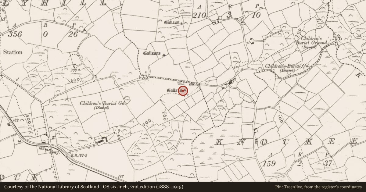 Ordnance Survey six-inch map, 2nd edition (1888–1915) covering the location of Standing stone, Hollyhill, County Cork, with a pin at the register's coordinates