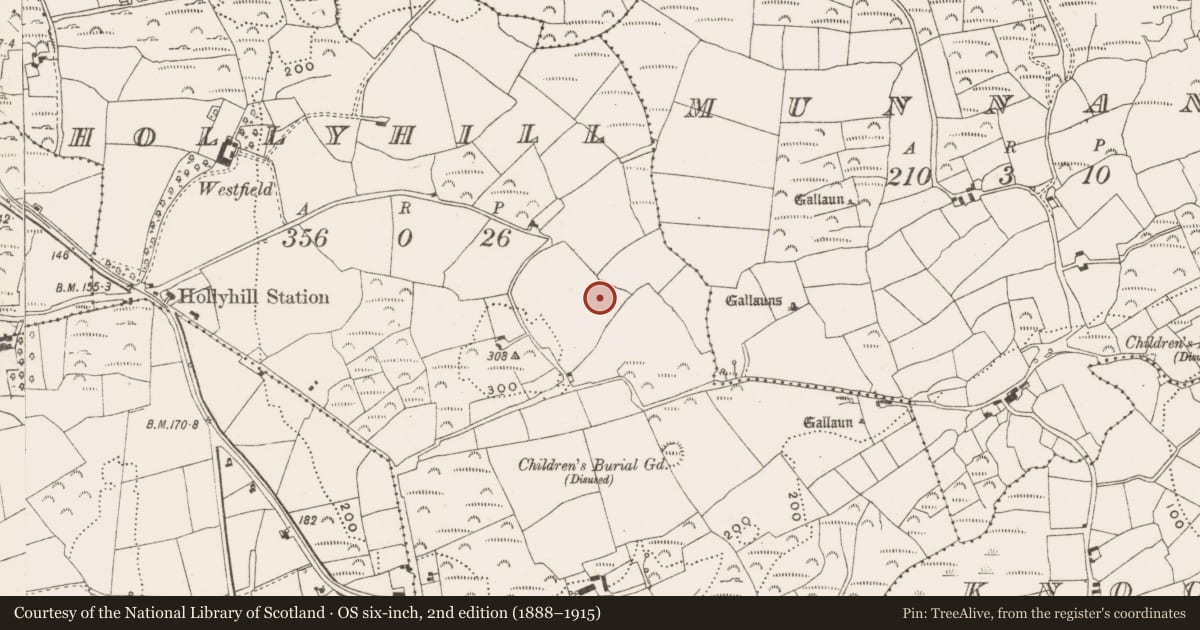 Ordnance Survey six-inch map, 2nd edition (1888–1915) covering the location of Souterrain, Hollyhill, County Cork, with a pin at the register's coordinates