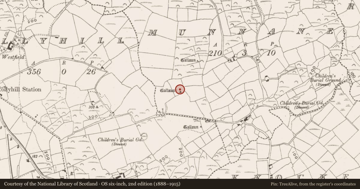 Ordnance Survey six-inch map, 2nd edition (1888–1915) covering the location of Standing stone, Munnane, County Cork, with a pin at the register's coordinates