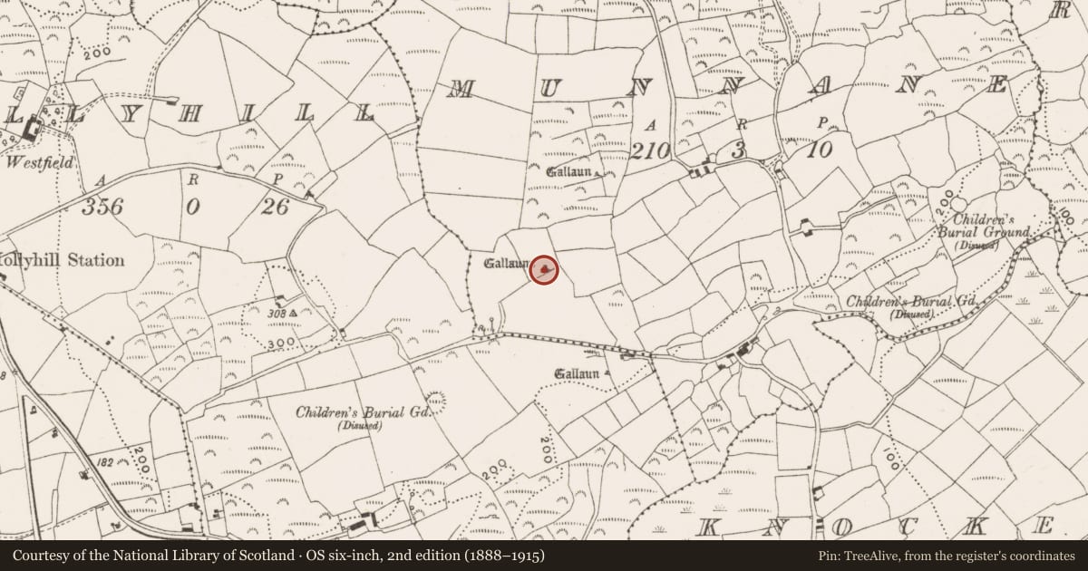 Ordnance Survey six-inch map, 2nd edition (1888–1915) covering the location of Standing stone, Munnane, County Cork, with a pin at the register's coordinates