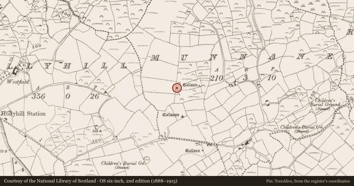Ordnance Survey six-inch map, 2nd edition (1888–1915) covering the location of Standing stone, Munnane, County Cork, with a pin at the register's coordinates
