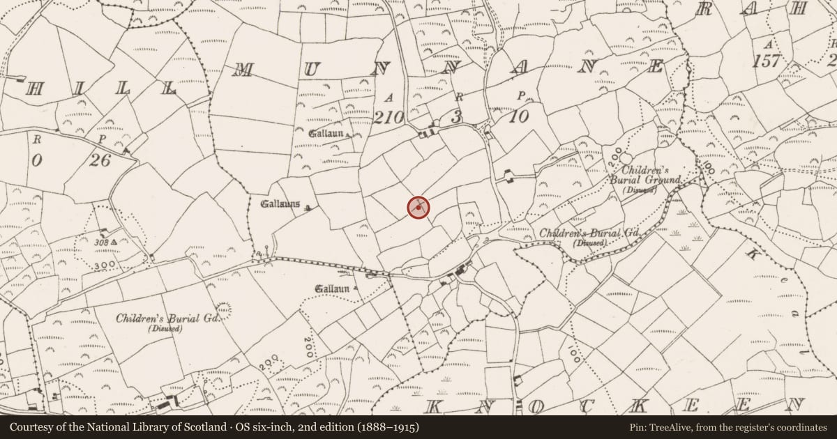 Ordnance Survey six-inch map, 2nd edition (1888–1915) covering the location of Souterrain, Munnane, County Cork, with a pin at the register's coordinates