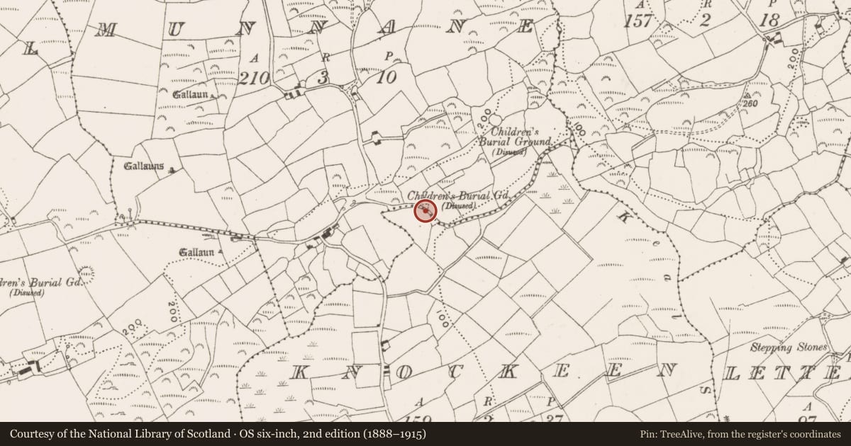 Ordnance Survey six-inch map, 2nd edition (1888–1915) covering the location of Burial ground, Munnane, County Cork, with a pin at the register's coordinates