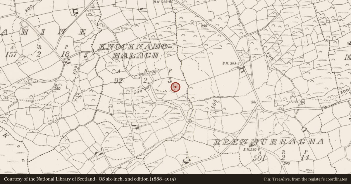 Ordnance Survey six-inch map, 2nd edition (1888–1915) covering the location of Ringfort - cashel, Knocknamohalagh, County Cork, with a pin at the register's coordinates