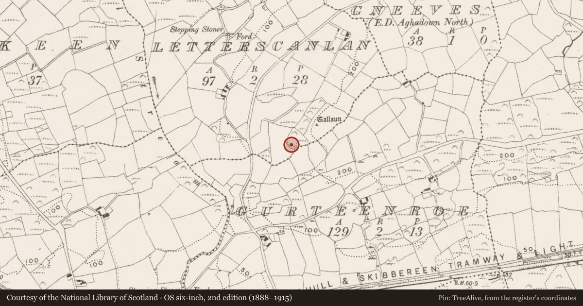 Ordnance Survey six-inch map, 2nd edition (1888–1915) covering the location of Ringfort - rath, Letterscanlan, County Cork, with a pin at the register's coordinates