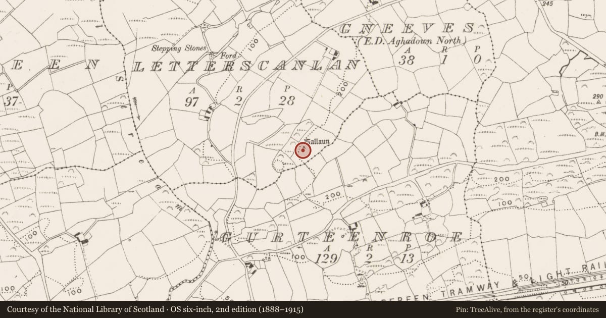 Ordnance Survey six-inch map, 2nd edition (1888–1915) covering the location of Standing stone, Letterscanlan, County Cork, with a pin at the register's coordinates