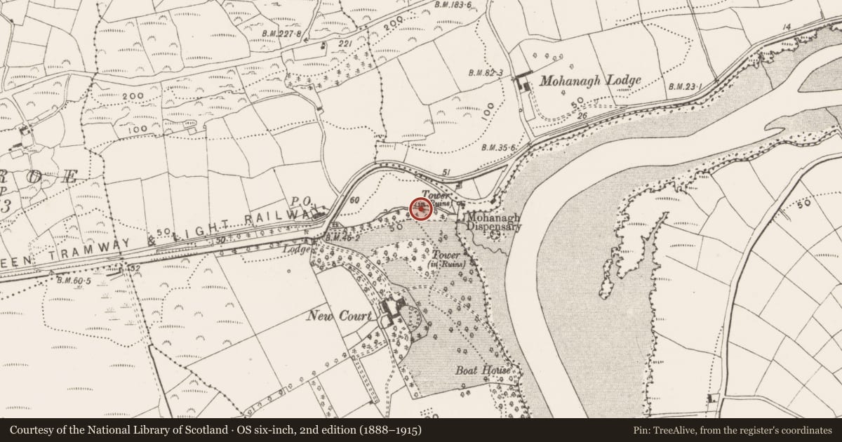 Ordnance Survey six-inch map, 2nd edition (1888–1915) covering the location of Designed landscape - belvedere, Reenmurragha, County Cork, with a pin at the register's coordinates